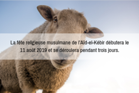 l’Aïd-el-Kebir : La fête religieuse musulmane débutera le 11 août 2019