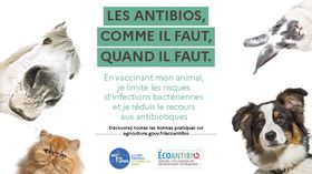  Semaine mondiale pour un bon usage des antibiotiques 