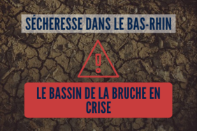 Sécheresse : le bassin hydrographique de la Bruche passe en état de crise