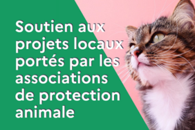 France Relance : Soutien aux associations de protection animale